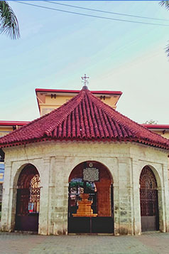img gallery